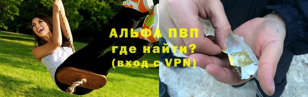 индика Алексеевка