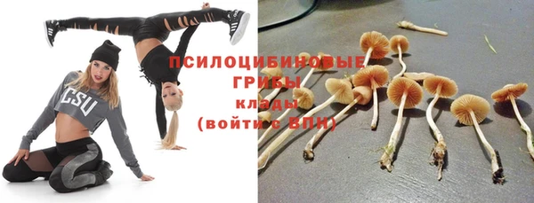 индика Алексеевка