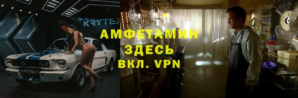 стаф Алзамай