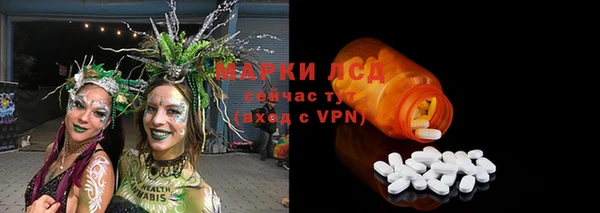 стаф Алзамай
