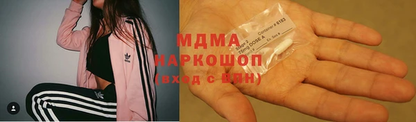 стаф Алзамай