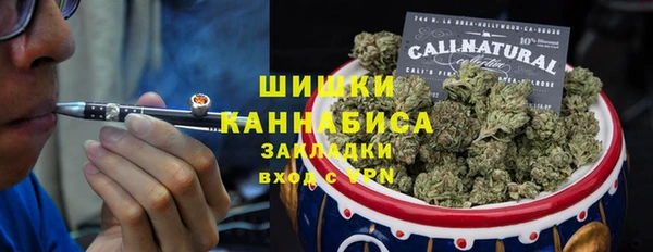 индика Алексеевка